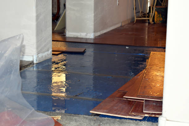 Professional Burst Pipe Cleanup technician working in Alpha, NJ